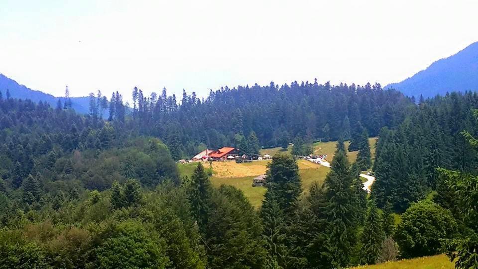 Cabana Poiana Secuilor Hotel Predeal Buitenkant foto